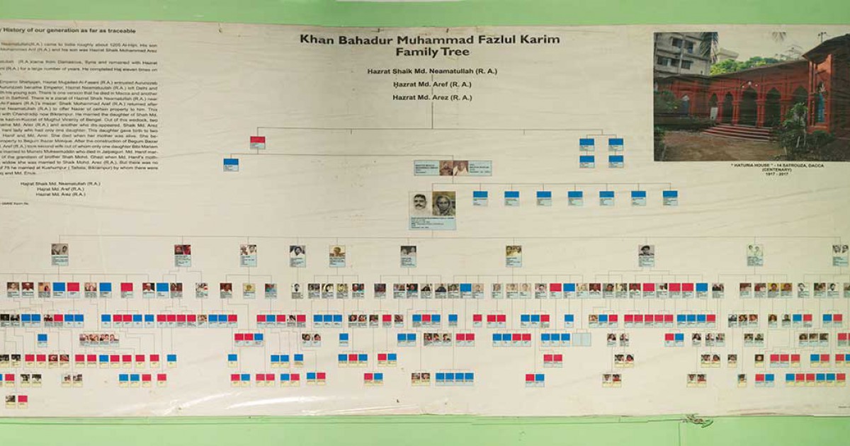 A family tree with a rich history