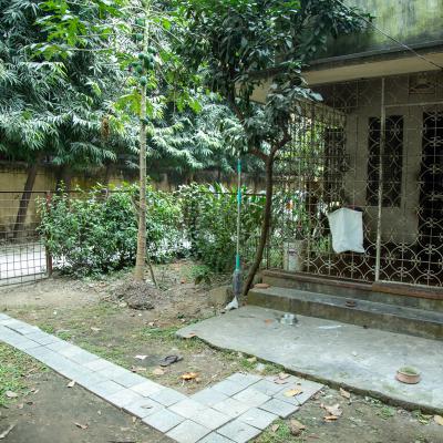 The Verandah And Garden On The West Side Of The House