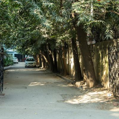 A Quiet Entry Path For Rajshahi House1